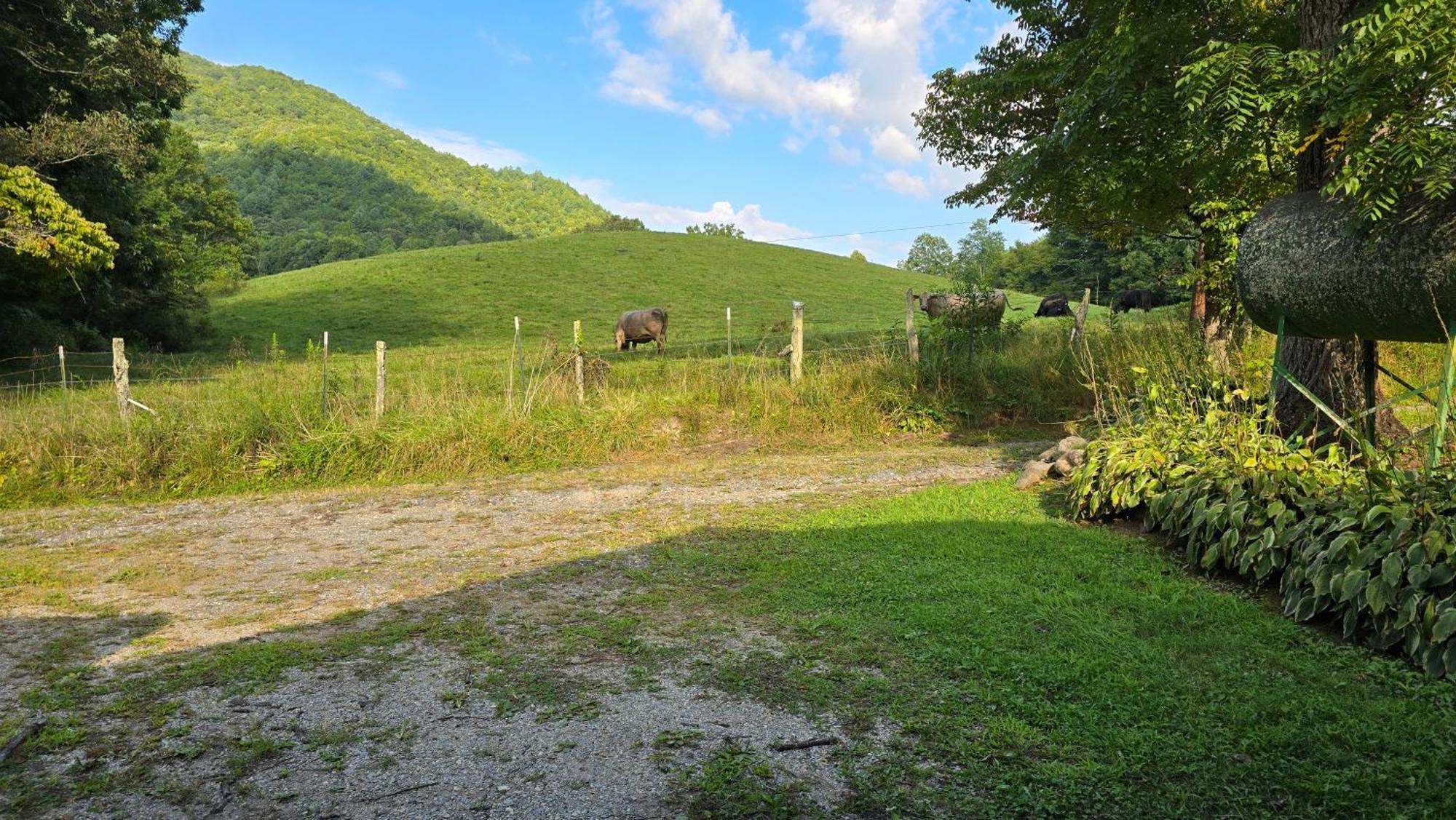 Yellow Creek Cabin Villa Robbinsville Exterior foto