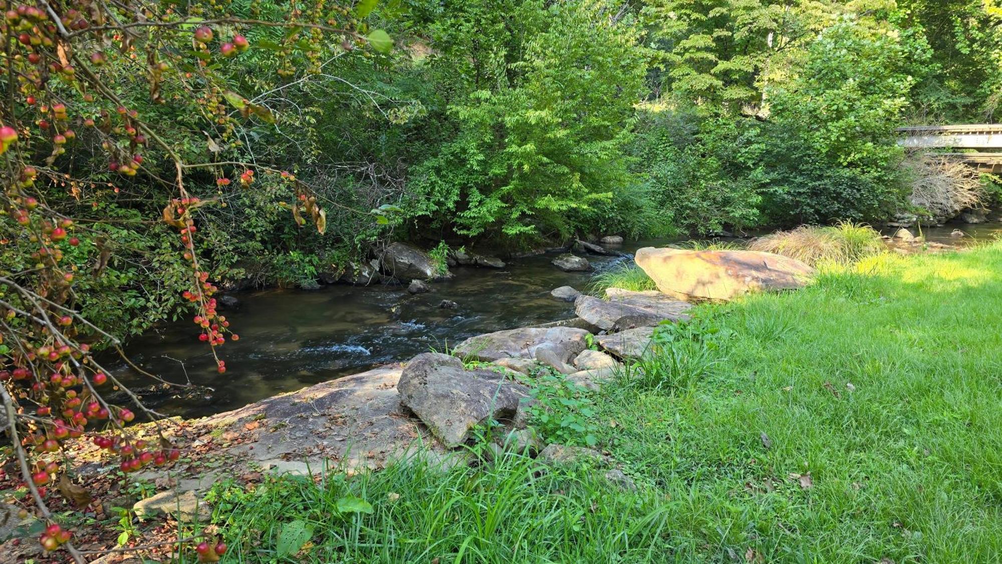 Yellow Creek Cabin Villa Robbinsville Exterior foto